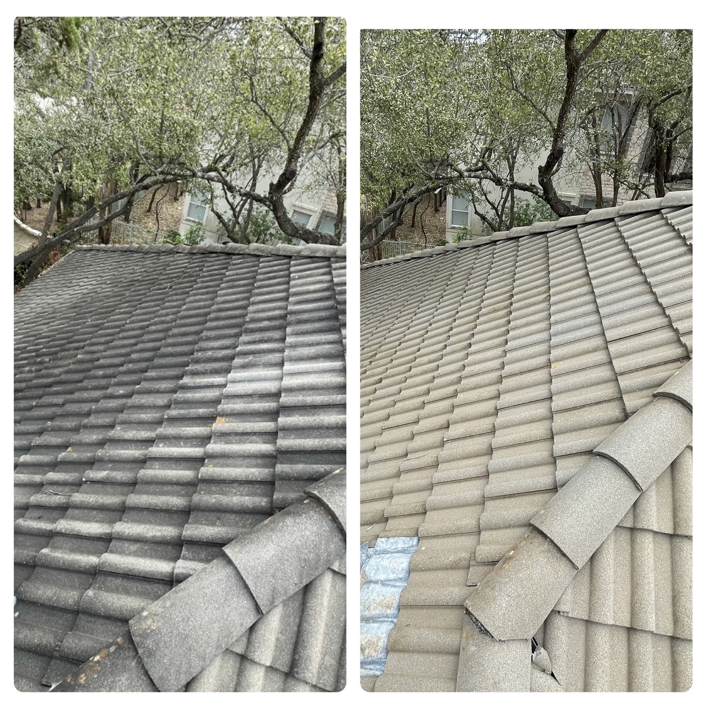 Clay tile roof soft wash cleaning before and after