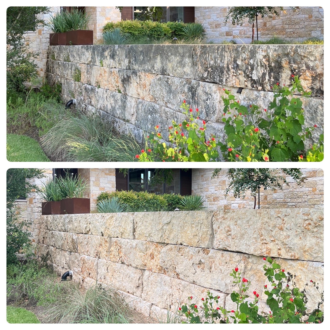 Limestone retaining wall pressure washing before and after